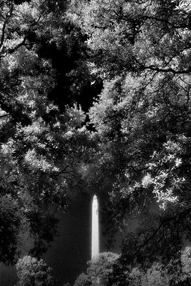 a black and white photo of a monument with trees all around