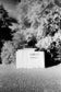 black and white photo of old small structure surrounded by trees