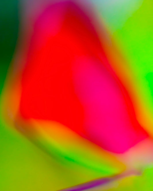 photo of blurry red leaf on blurred bright green background