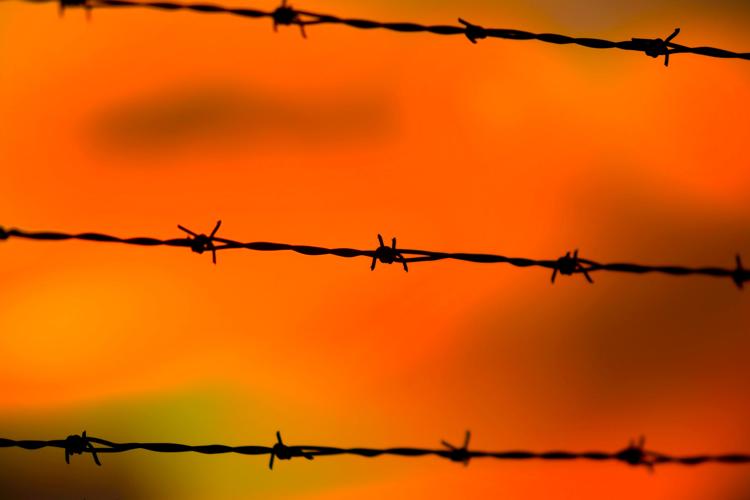 Close up of barbed wire fence with sunset in the background. 