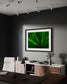 green agave like plant with selective focus in black frame on gray wall in home office