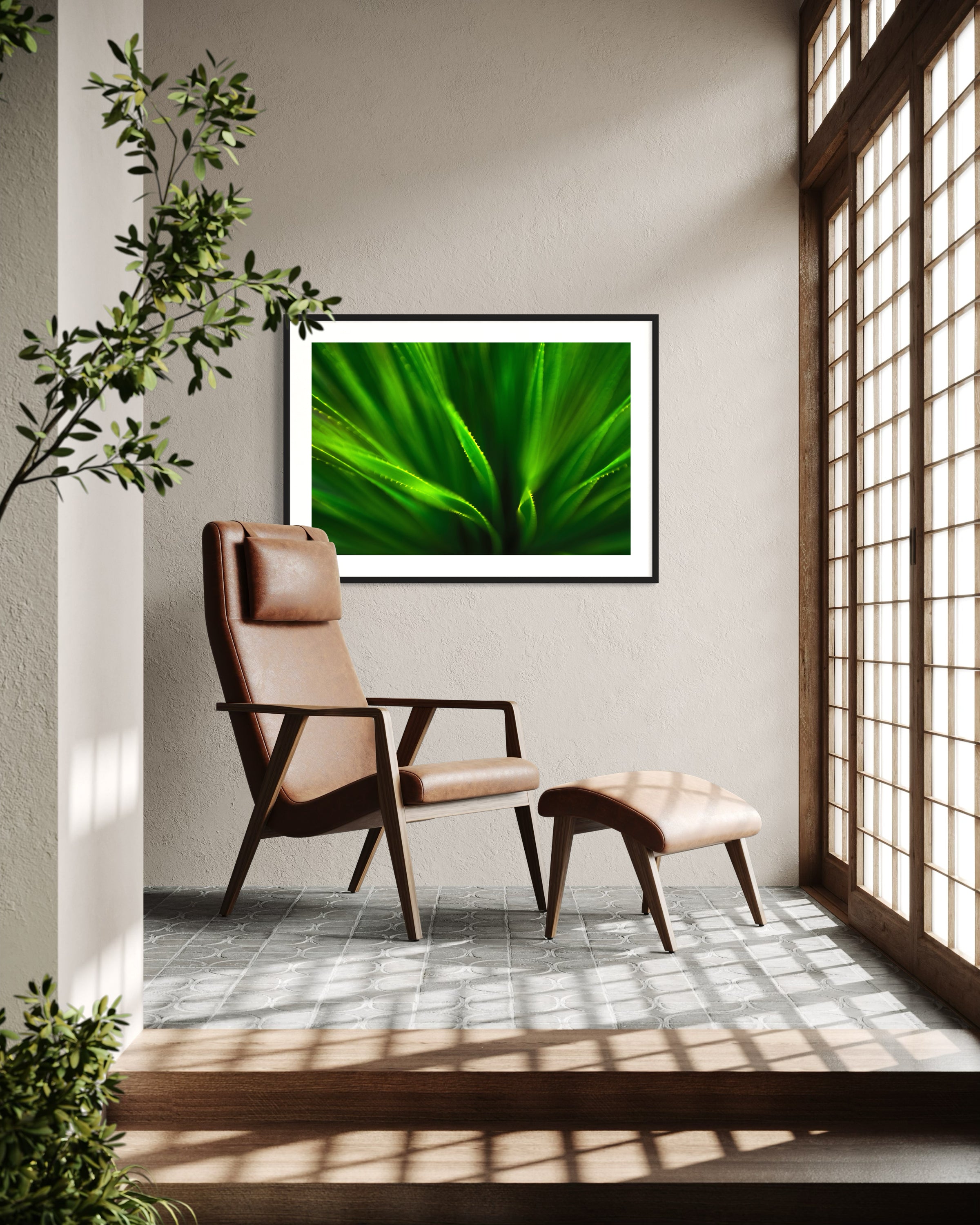 green agave like plant with selective focus in black frame on light tan wall in corner of home with modern chair and large window on the right