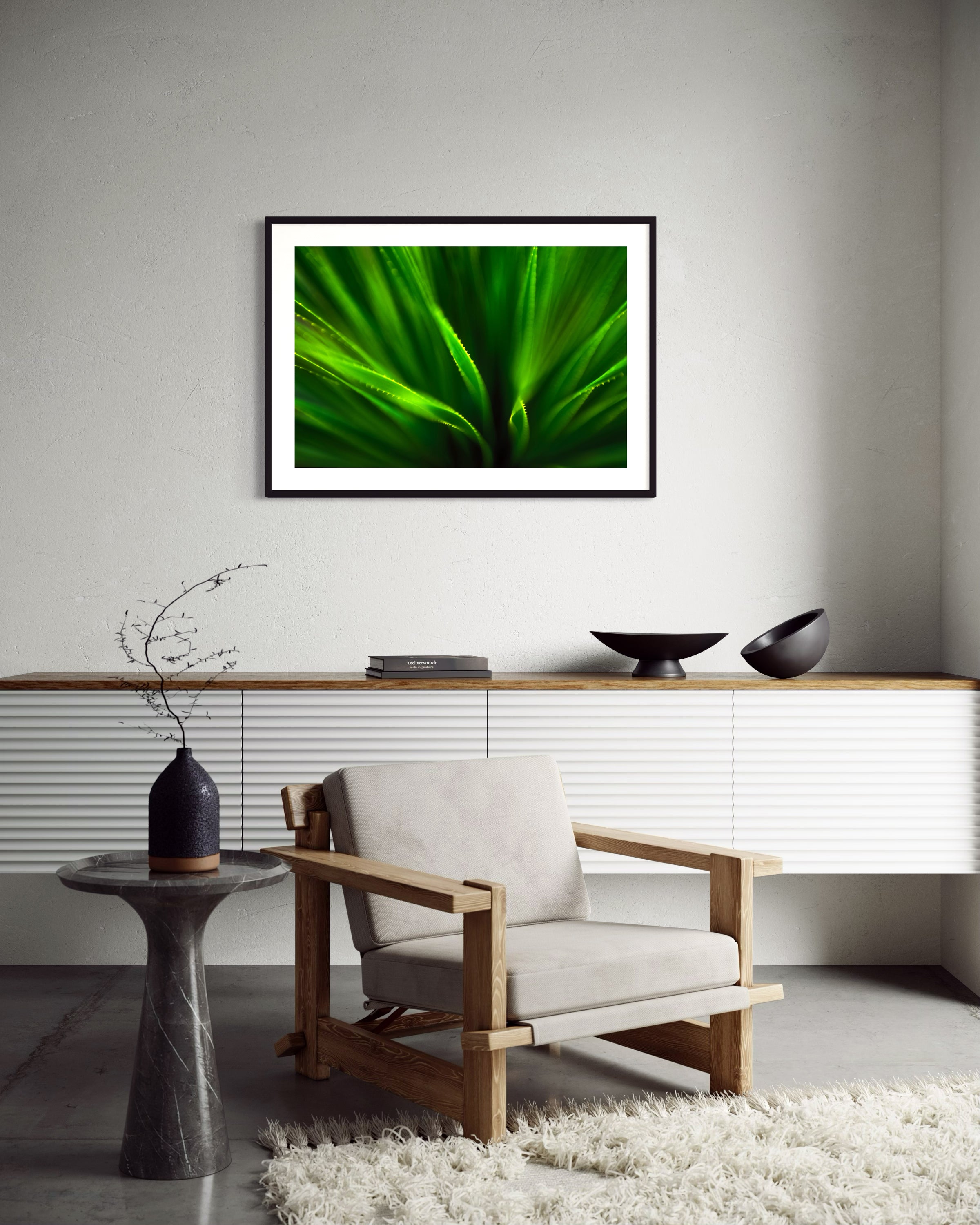 green agave like plant with selective focus in black frame with white matte on off white wall above white piece of furniture with wooden top in home sitting area