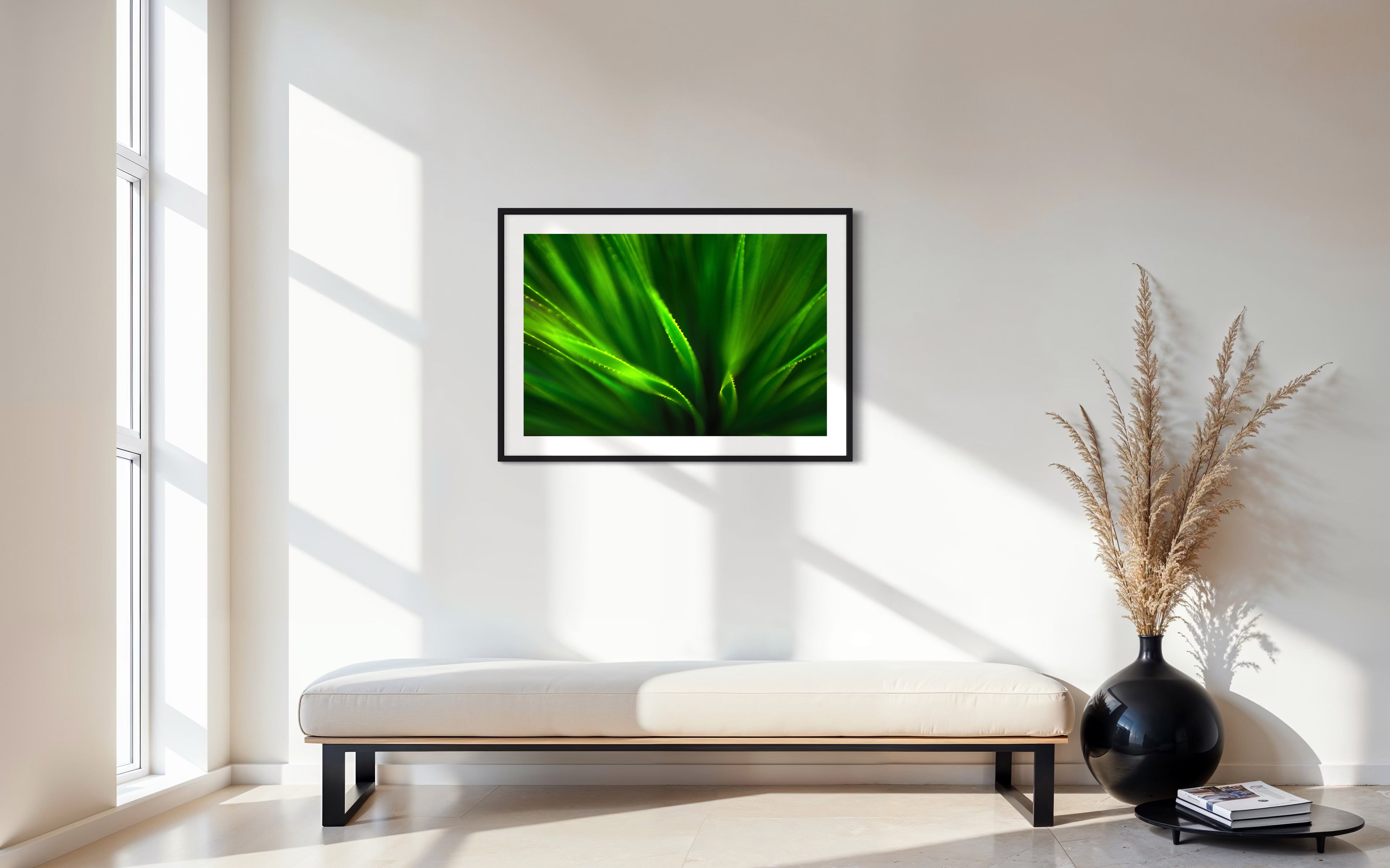 green agave like plant with selective focus in black frame with white matte on white wall above white long bench in minimalist sitting area with white and light tan colors