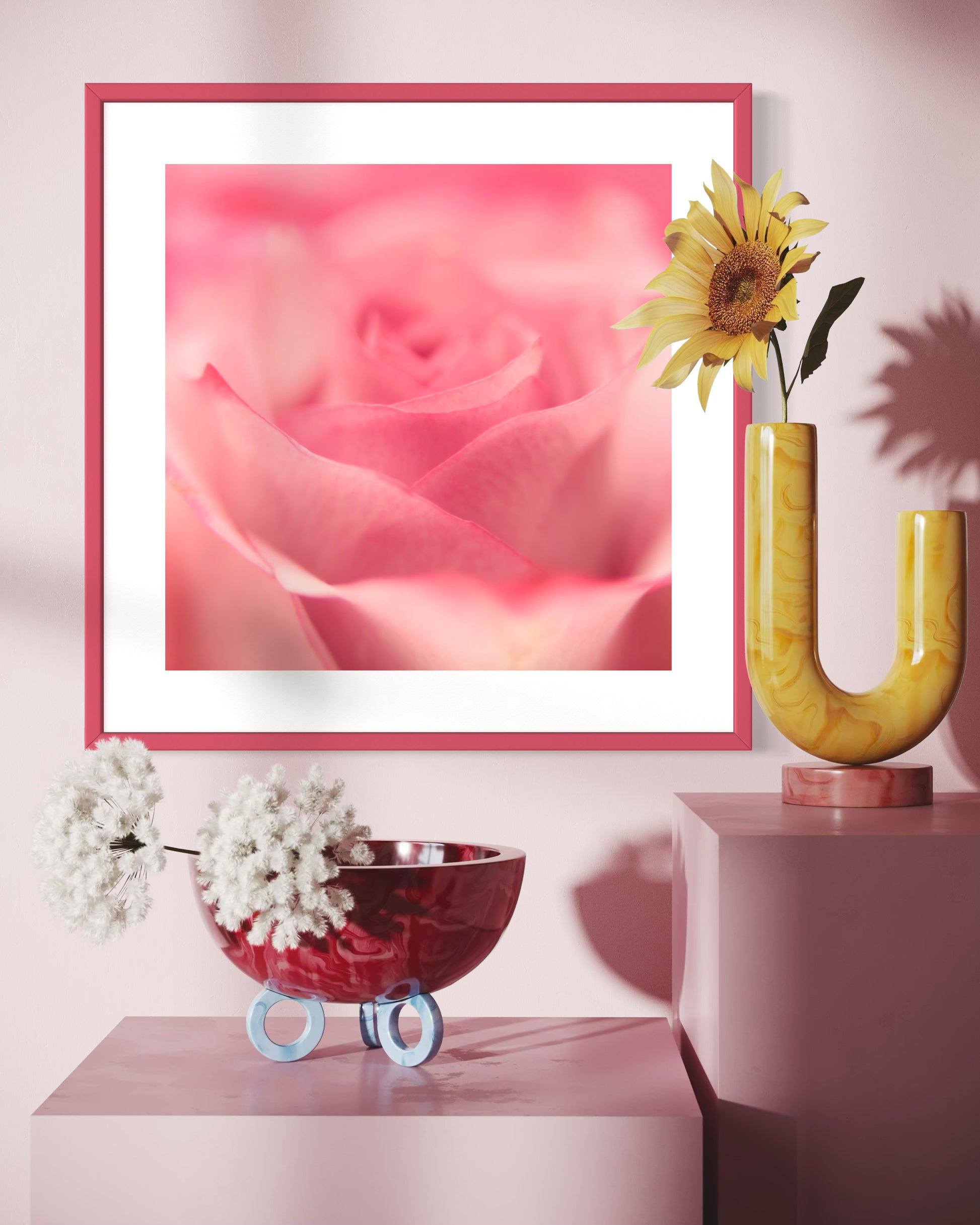 macro of pink rose shot in studio with shallow depth of field in pink frame with white matte on white wall above white two large pink cubes with a few large flowers on top