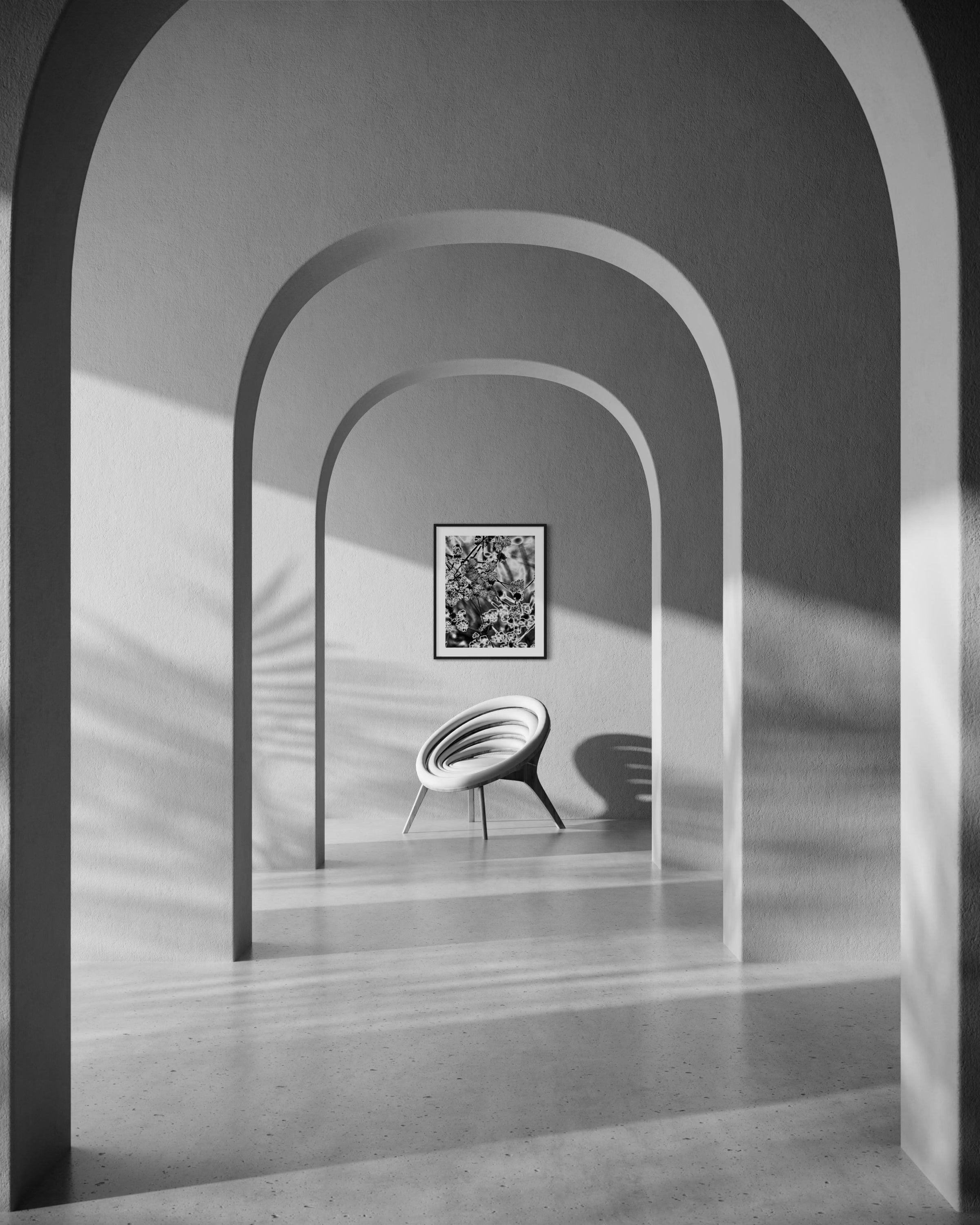 black and white close up of plant with solarized effect in black frame with white matte in monochrome space with three large arches in the foreground