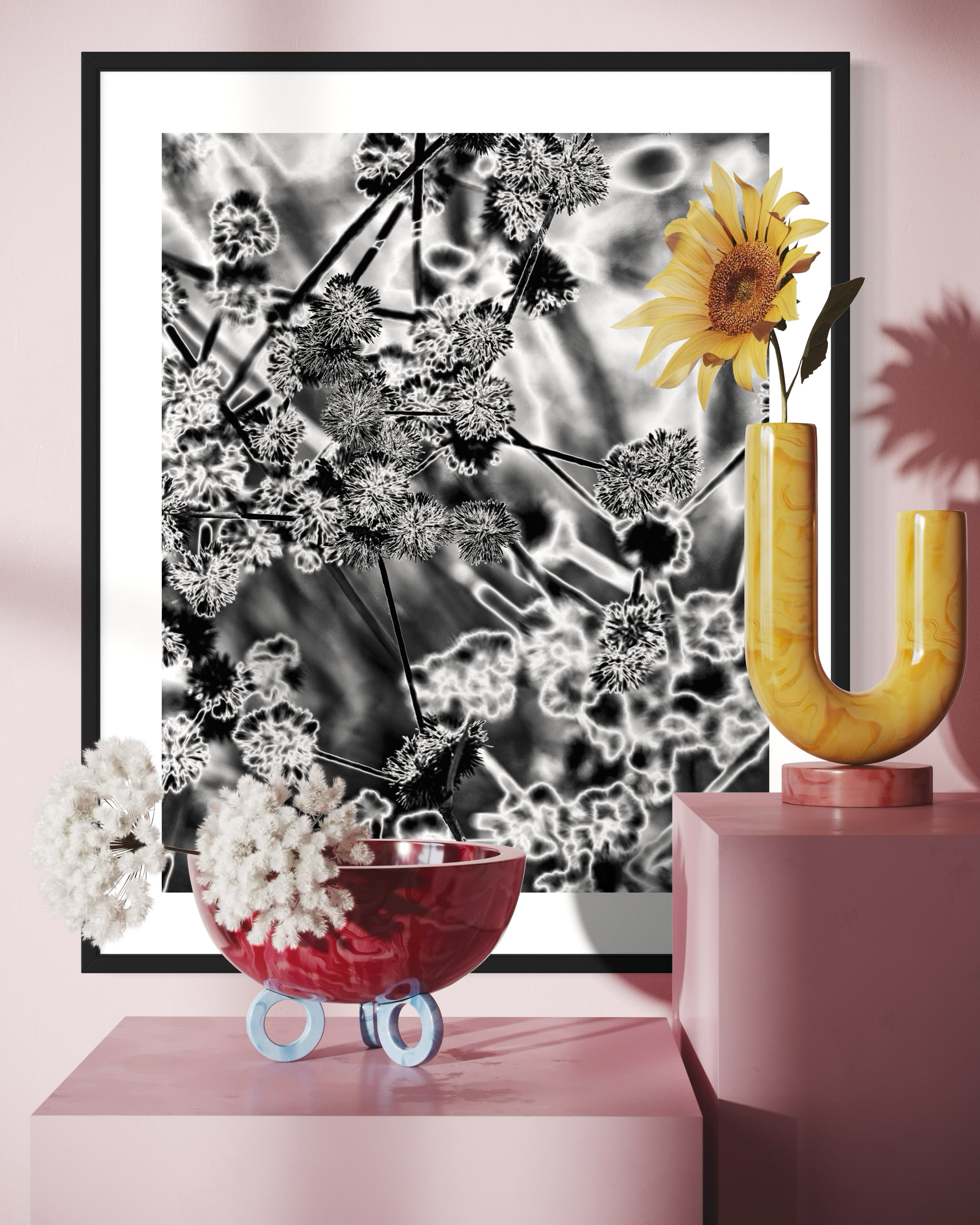 black and white close up of plant with solarized effect in black frame with white matte on light pink wall with pink cubes below and a big sunflower on the table in front of the photo