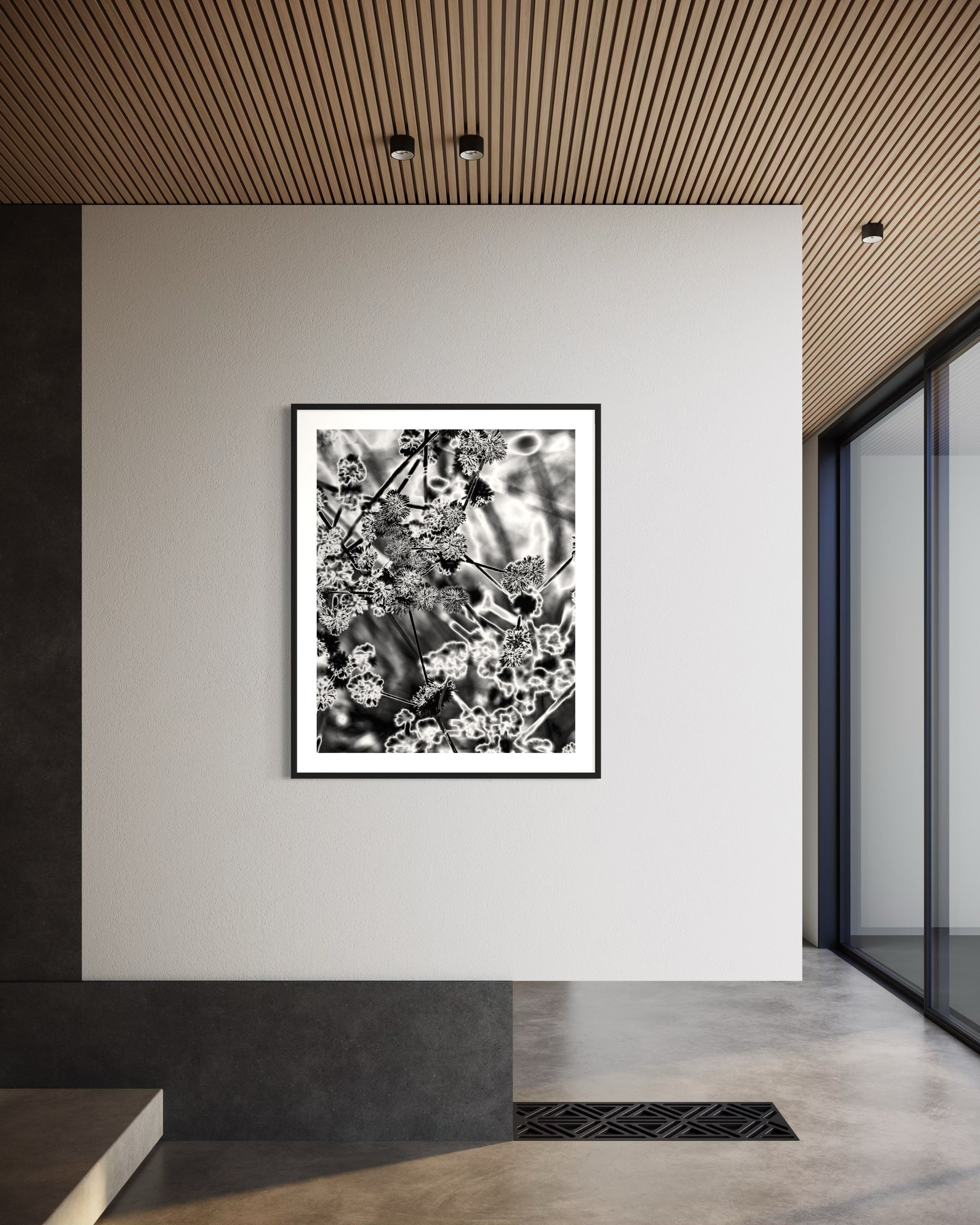 black and white close up of plant with solarized effect in black frame with white matte on off white wall in minimalist commercial space with concrete floors and earth tones