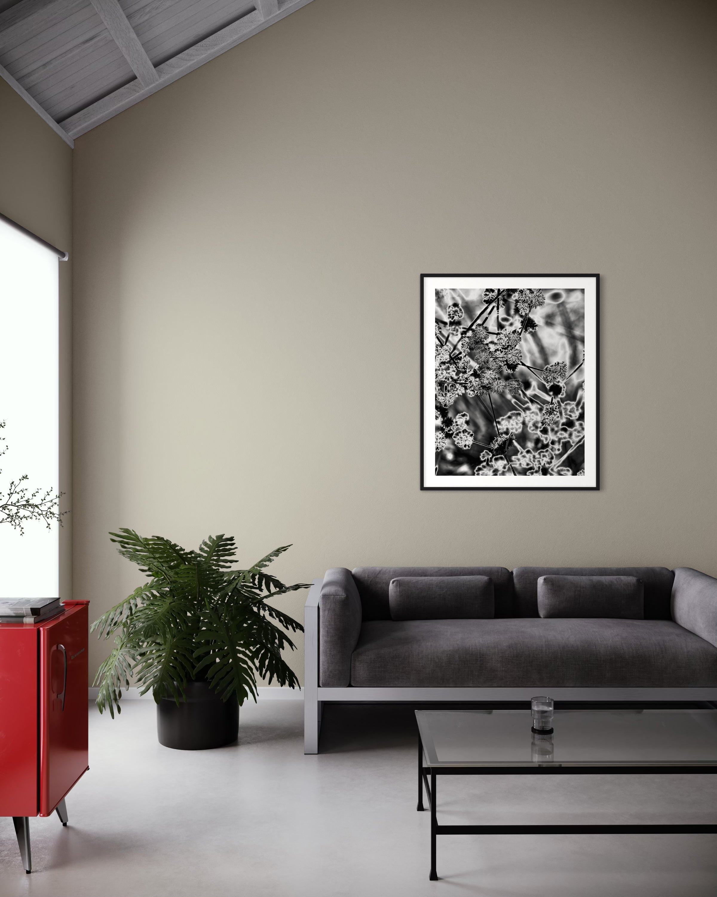 black and white close up of plant with solarized effect in black frame with white matte on tan wall in minimalist commercial space with concrete floors and red mini fridge