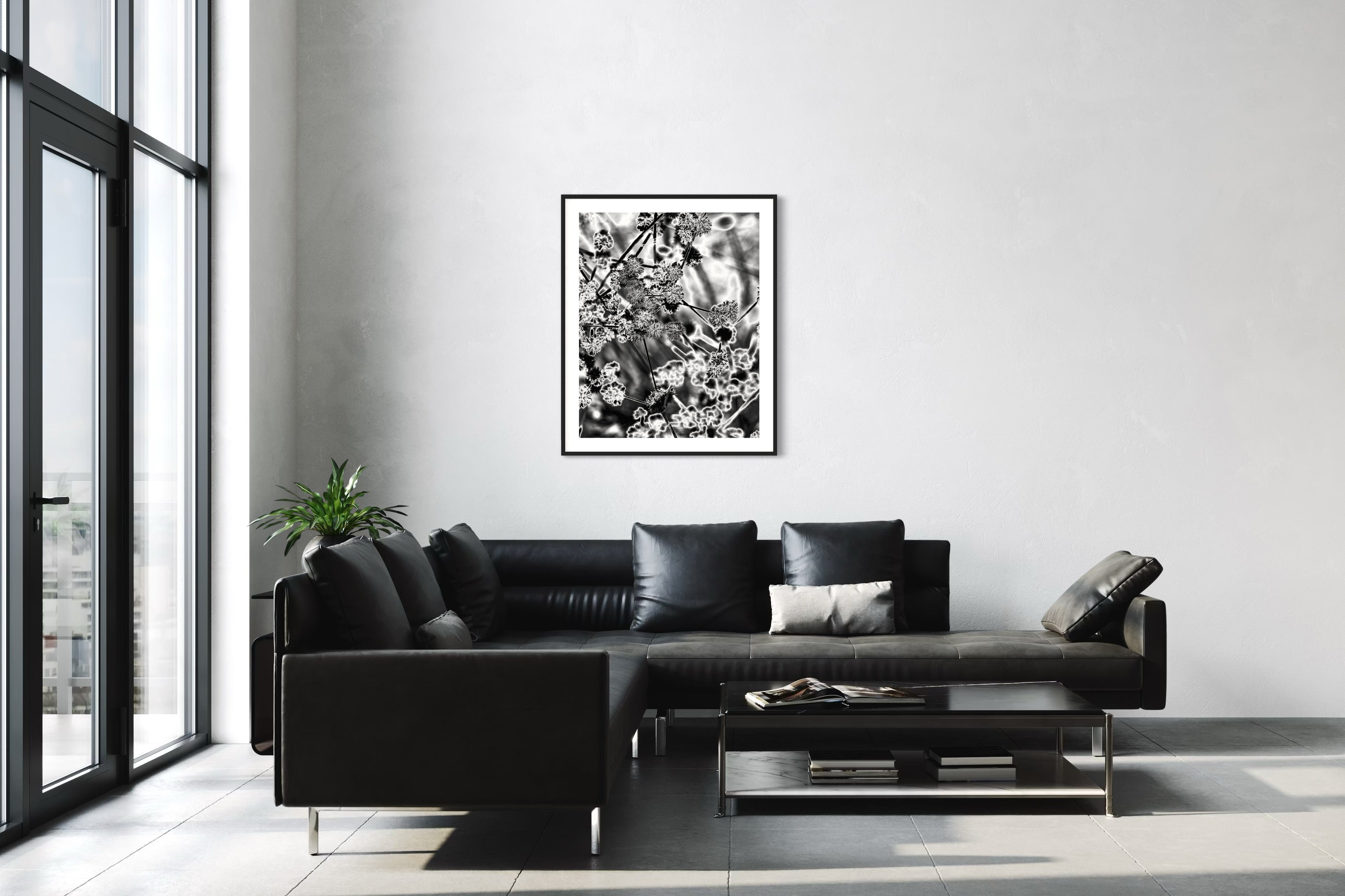 black and white close up of plant with solarized effect in black frame with white matte on white wall in minimalist modern space with concrete floors and floor to ceiling windows on the left and black couch