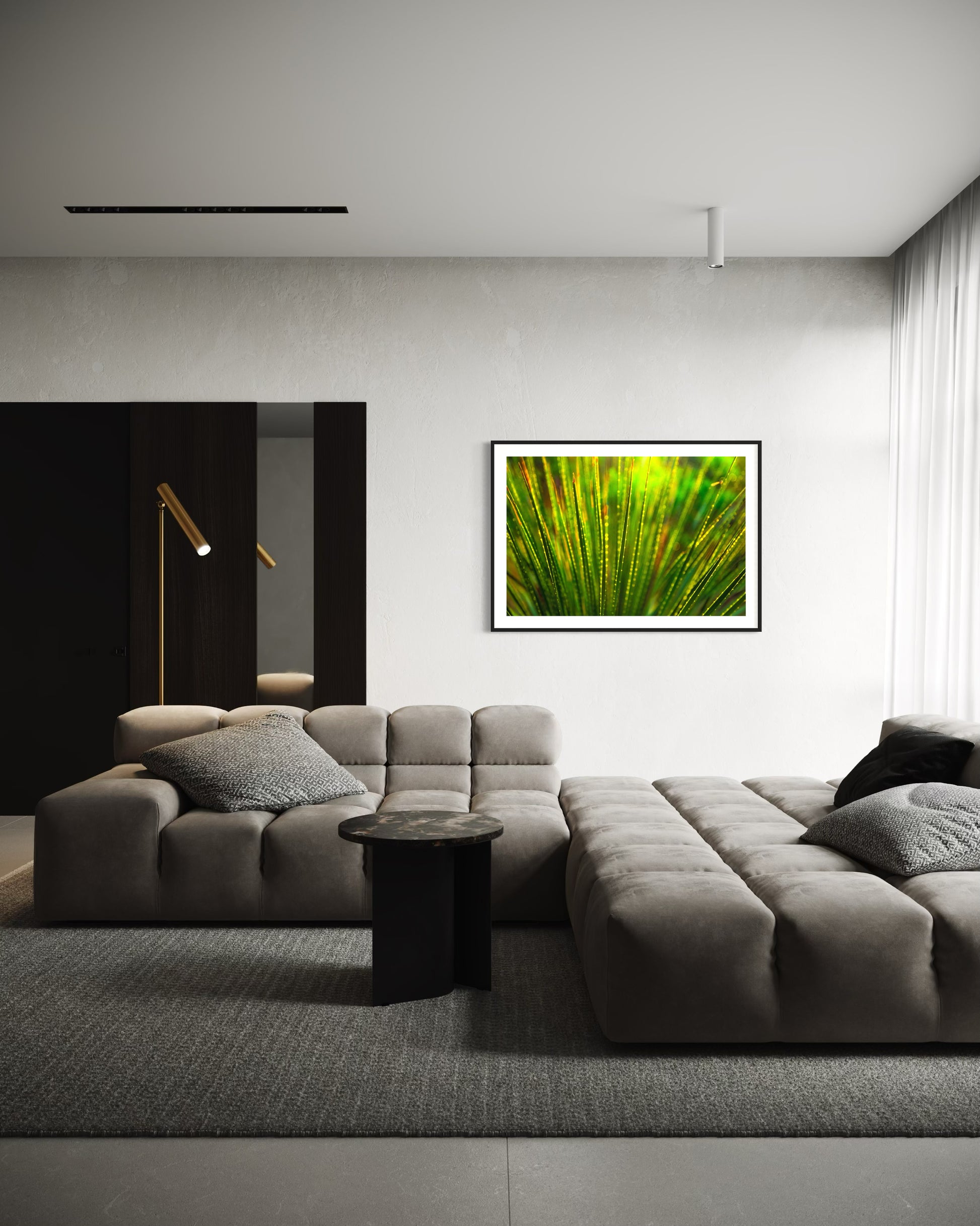 photo close up of Sotol plant backlit at dusk in black frame with white matte on white wall in modern living room with gray tones including a large medium gray sofa