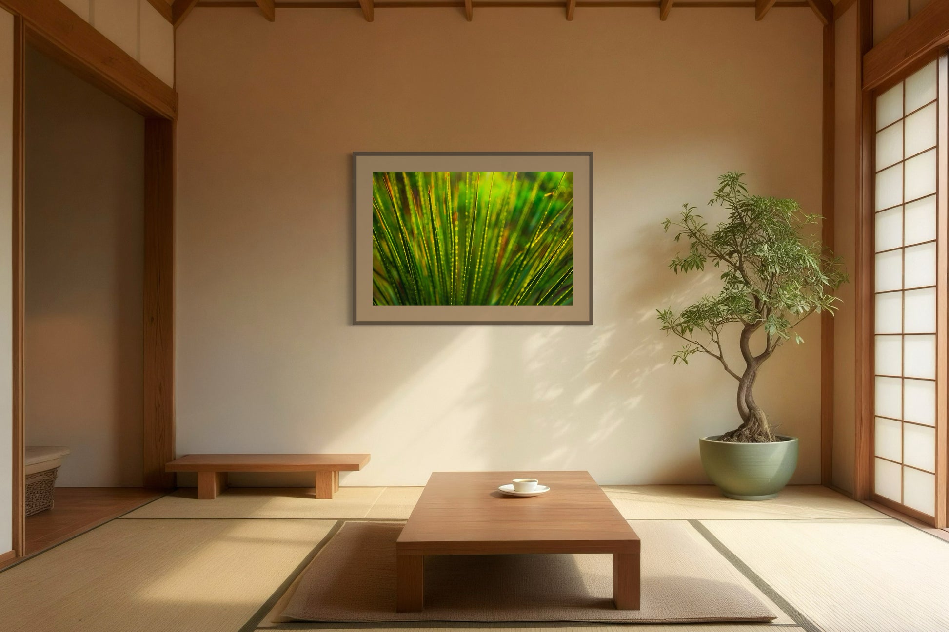 photo close up of Sotol plant backlit at dusk in brown frame with tan matte on tan wall in Asian style room in house with one tall plant and simple furniture, no chairs