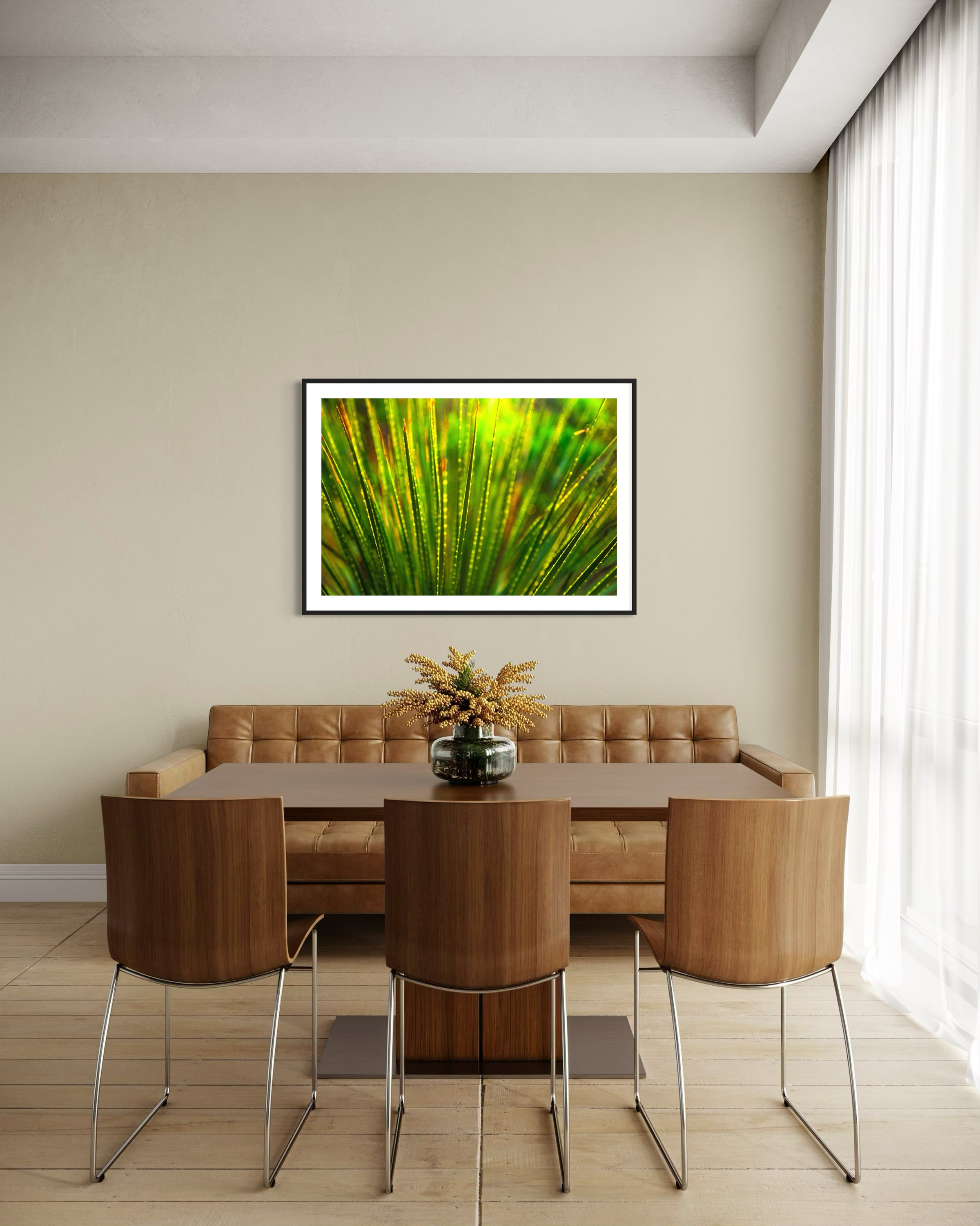 photo close up of Sotol plant backlit at dusk in black frame with white matte on white wall in modern dining area with earth tones