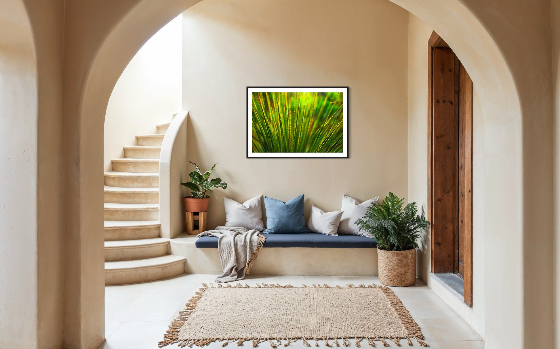 photo close up of Sotol plant backlit at dusk in black frame with white matte on tan wall in Mediterranean style sitting room