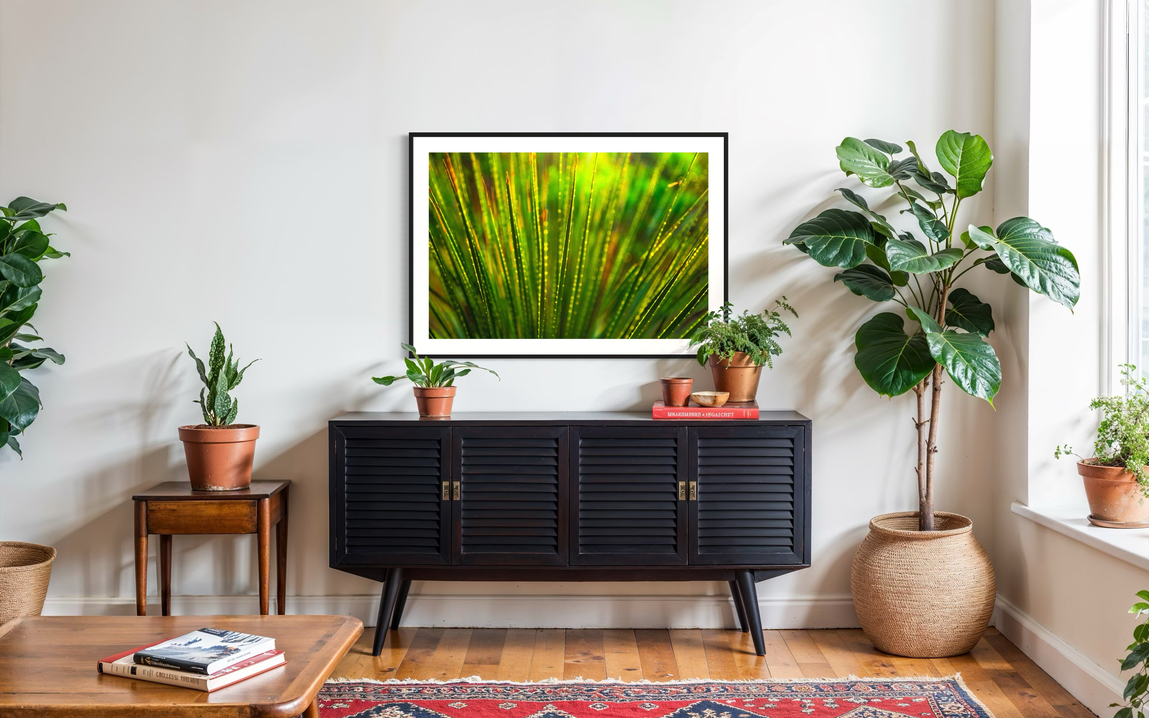 photo close up of Sotol plant backlit at dusk in black frame with white matte on white wall above black piece of furniture in living room