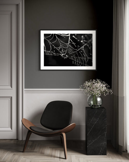 Framed black and white photograph of a spider web on a wall in a room with a chair and vase.