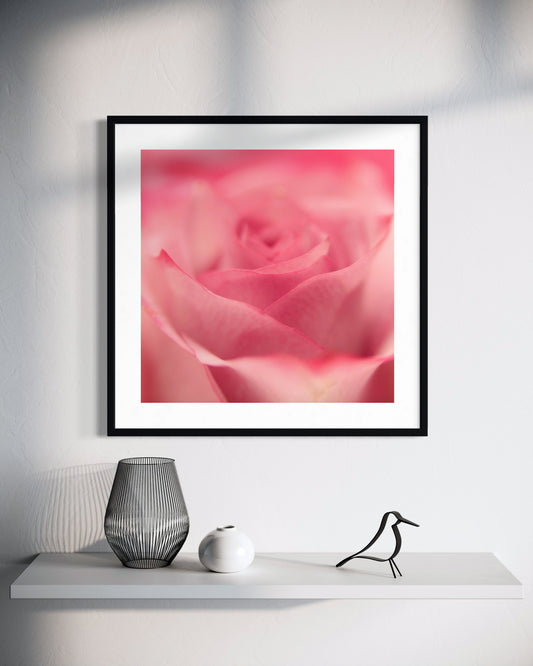 Framed pink rose print on a wall above a white shelf with decorative items.