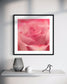 Framed pink rose print on a wall above a white shelf with decorative items.