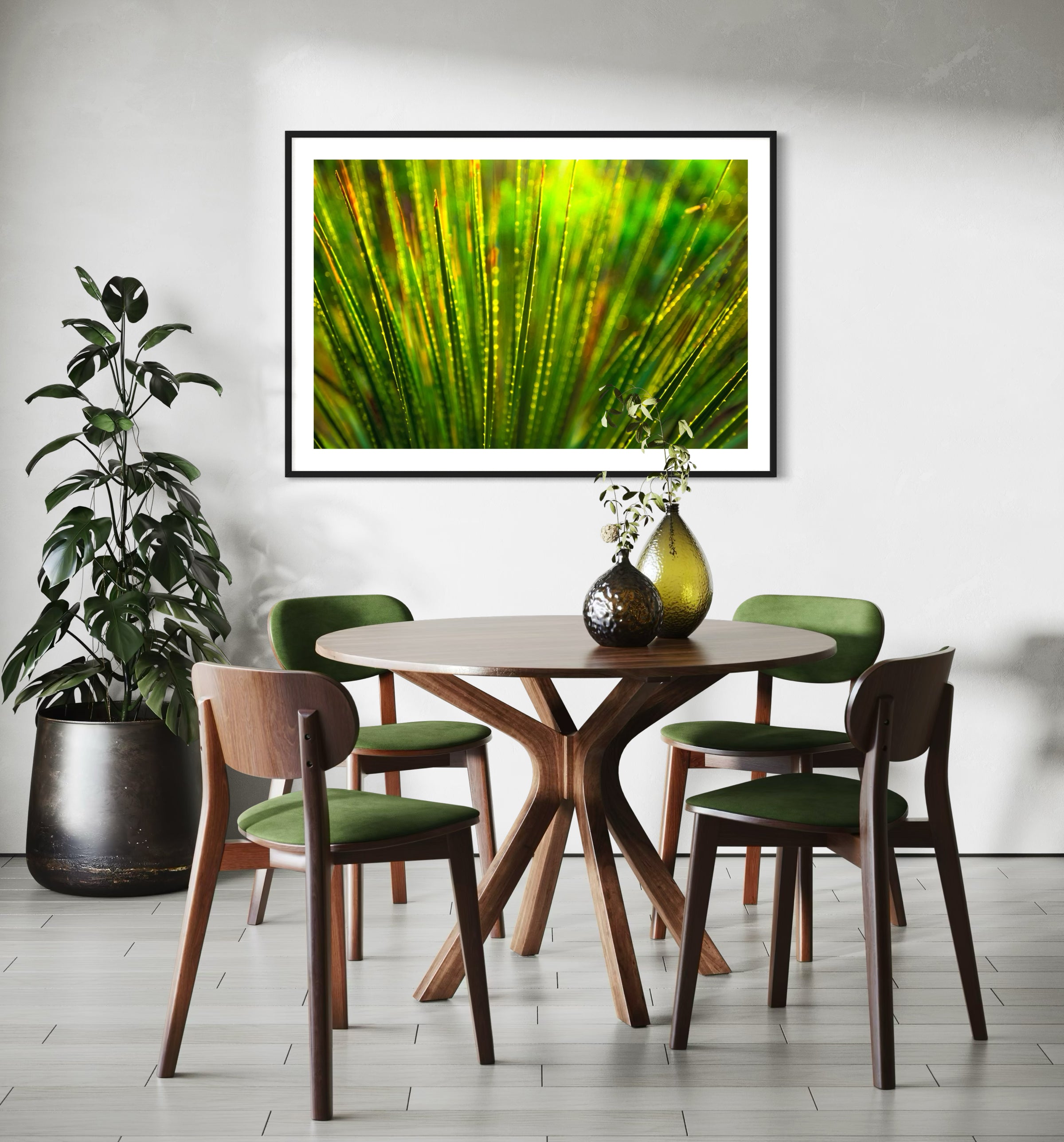 photo close up of Sotol plant backlit at dusk in black frame with white matte on off white wall in modern minimalist small dining area