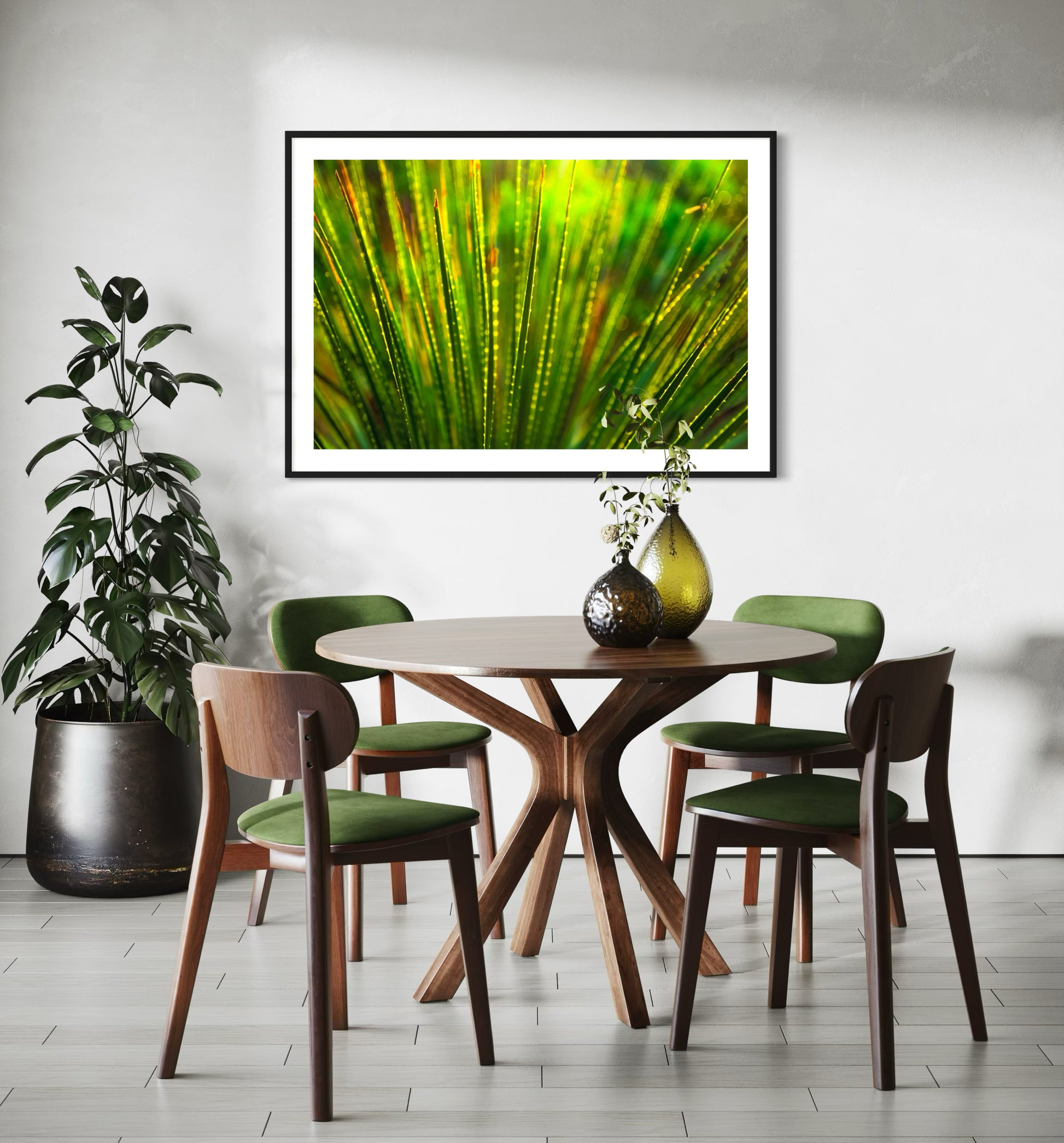 photo close up of Sotol plant backlit at dusk in black frame with white matte on off white wall in modern minimalist small dining area