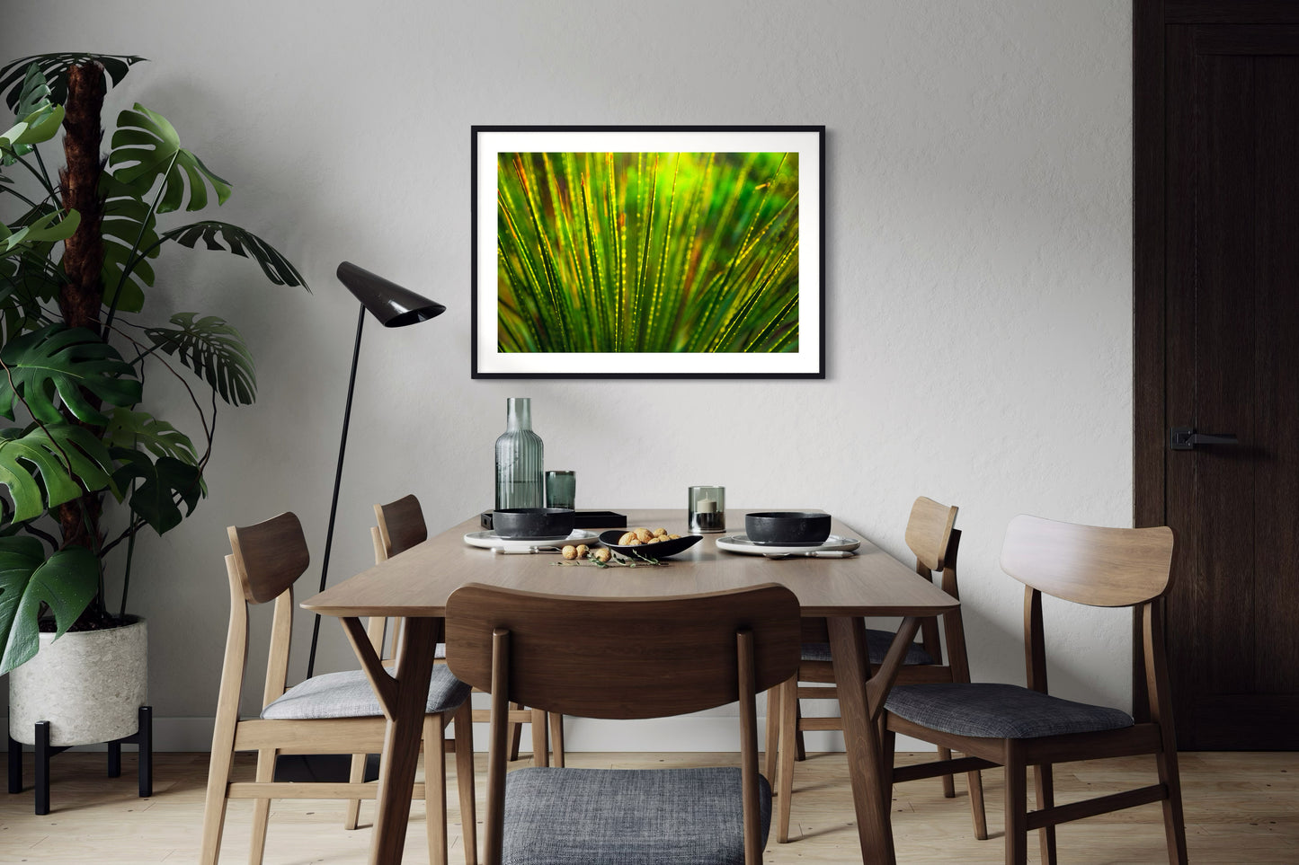 photo close up of Sotol plant backlit at dusk in black frame with white matte on white wall in modern dining area